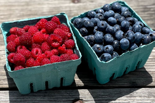 Pick Your Own