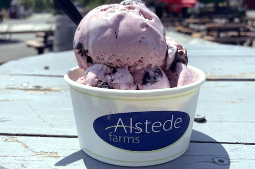 homemade-ice-cream4