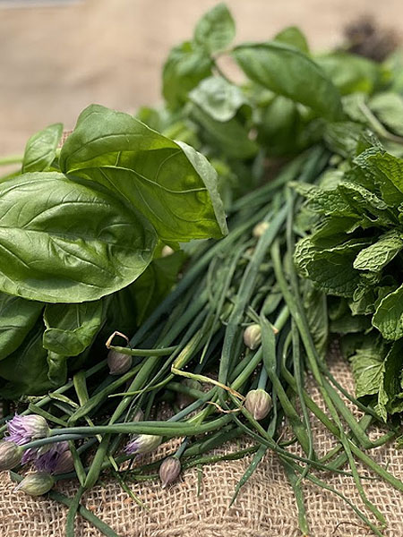 Mixed Herbs