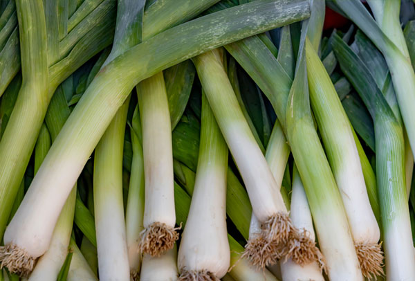 Pick Your Own Leeks