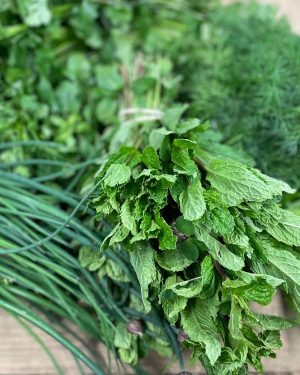 Herbs & Spices