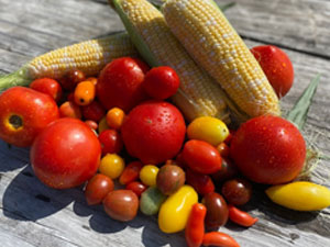 Pick Your Own