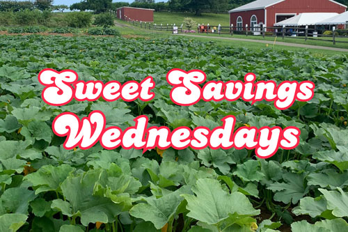 sweet-savings
