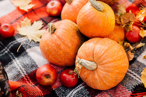 fall-pyo